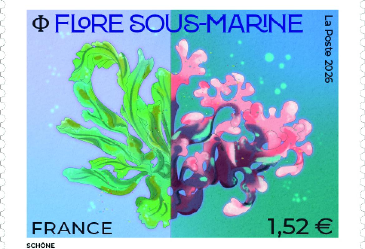 flore sous-marine